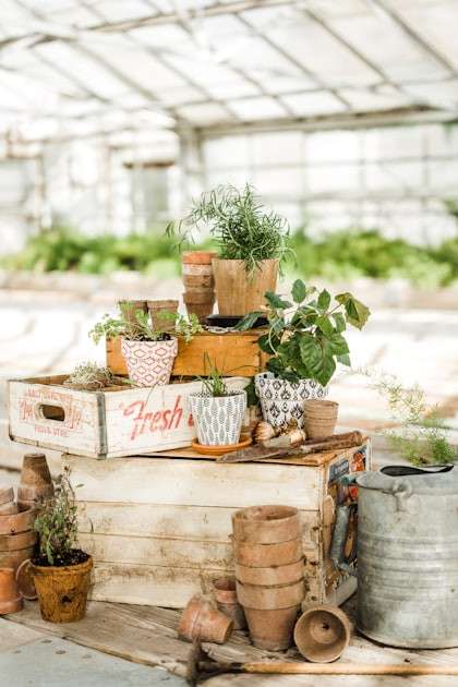 DIY Pot Ideas for Your Patio